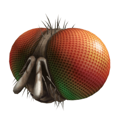 Roblox: Freaky Fly Face