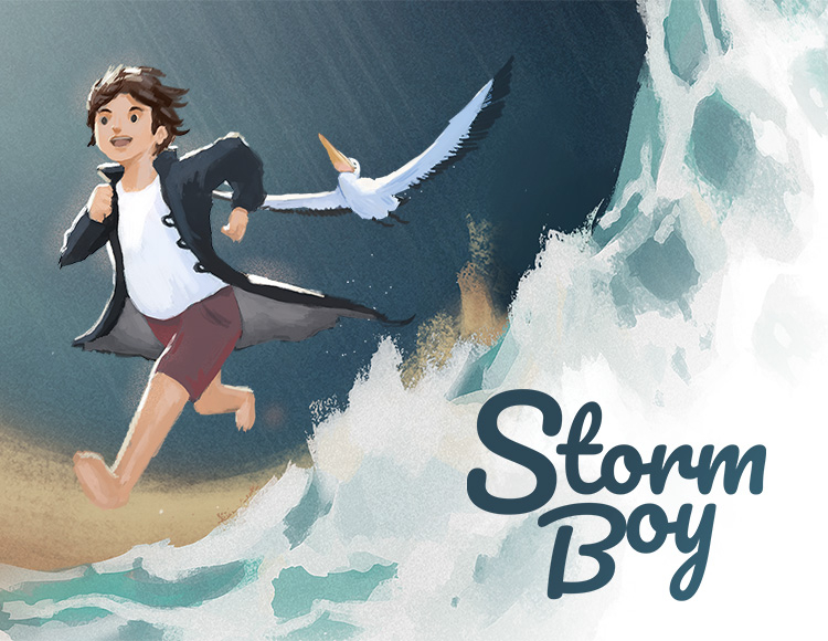 Storm Boy preview image