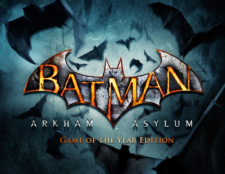 Batman: Arkham Asylum - Game of the Year Edition preview image