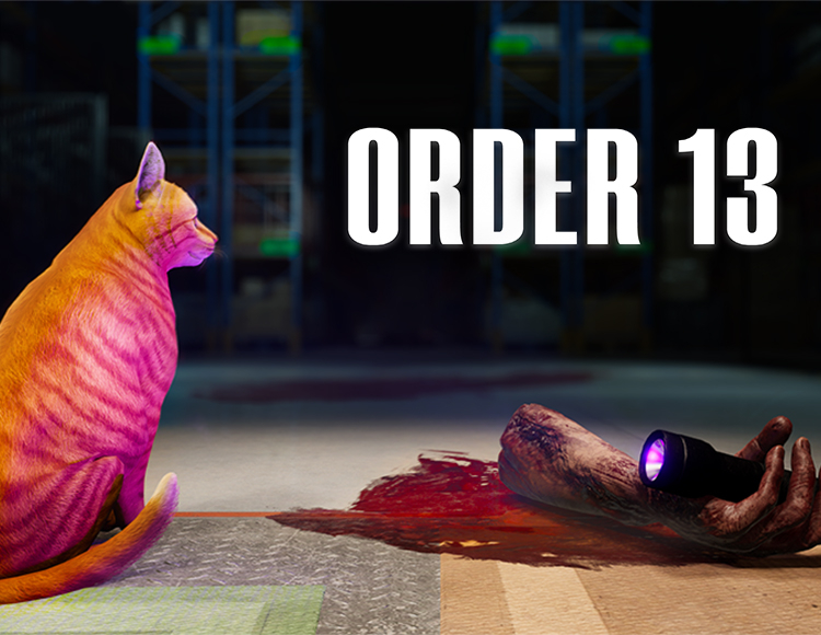 Order 13 preview image