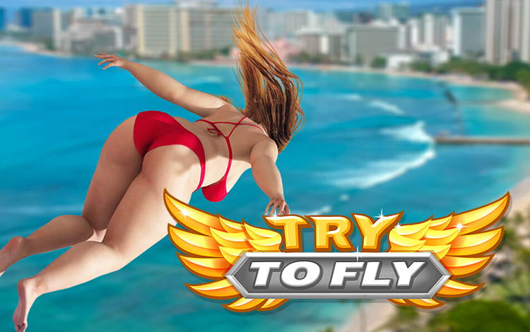 Try to Fly preview image