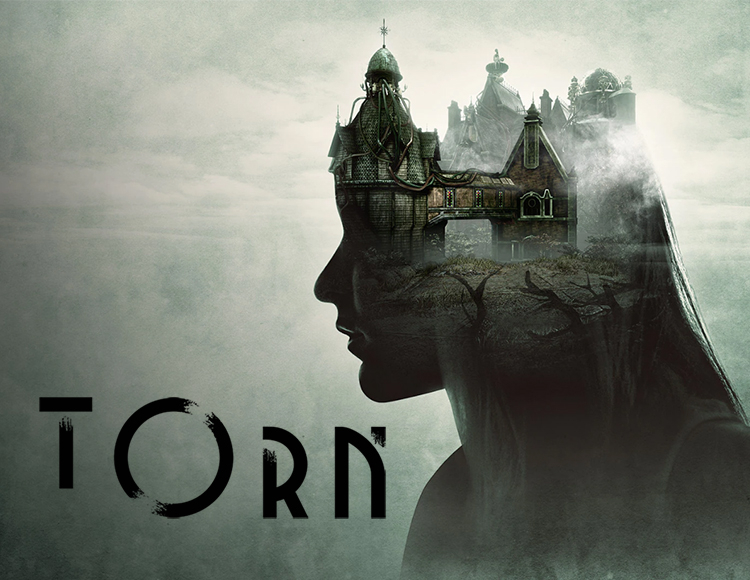 Torn preview image