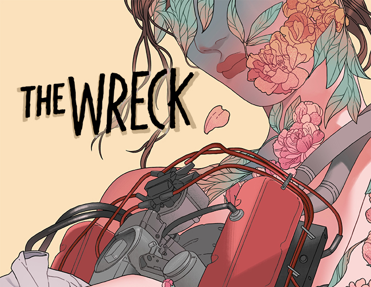 The Wreck preview image