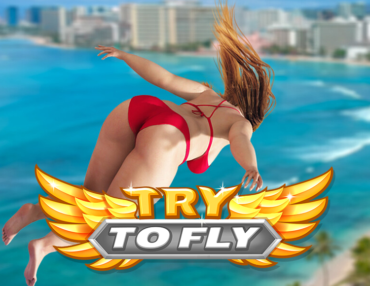 Try to Fly preview image