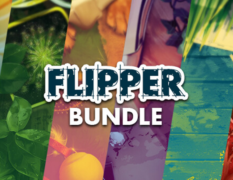 The Flipper Bundle preview image