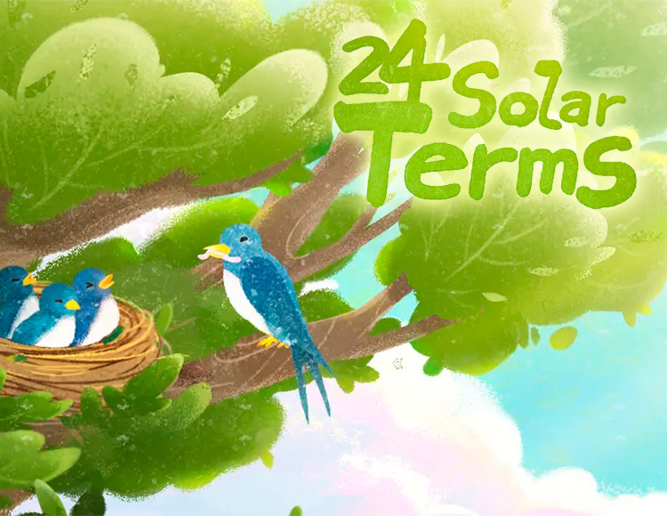 24 Solar Terms preview image