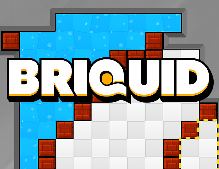Briquid preview image