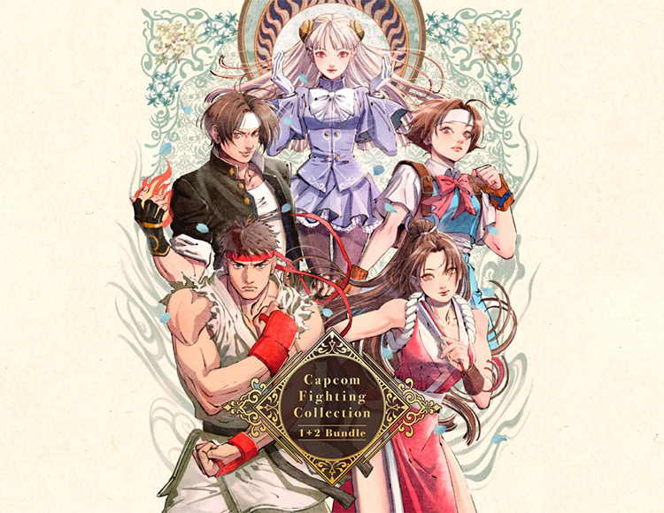 Capcom Fighting Collection 1 + 2 Bundle preview image