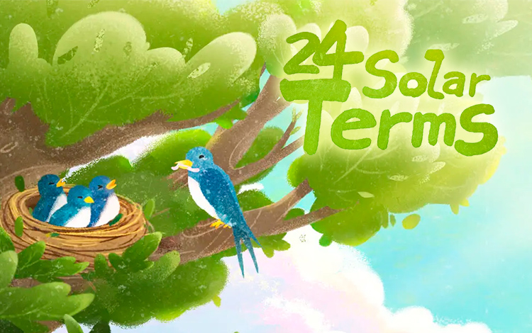 24 Solar Terms preview image