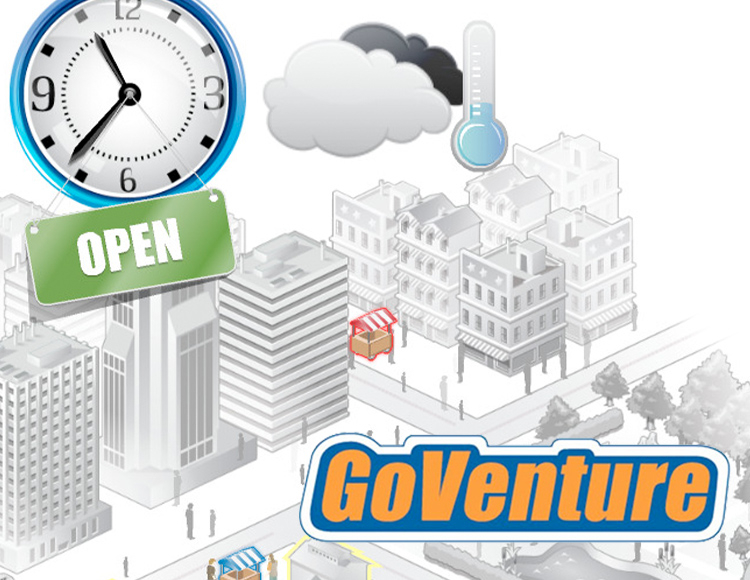 GoVenture MICRO BUSINESS preview image