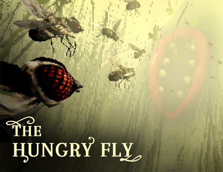 The Hungry Fly preview image