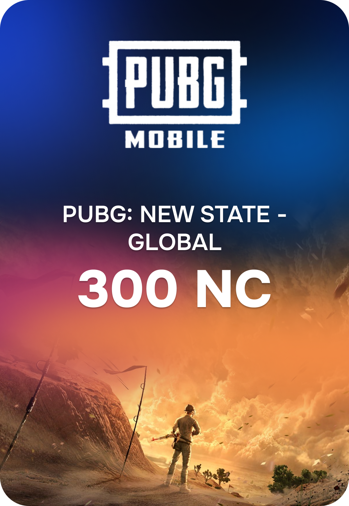 New State Mobile: 300 NC preview image
