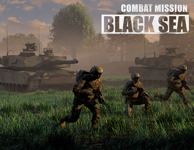 Combat Mission Black Sea preview image