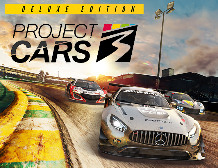 Project Cars 3 - Deluxe Edition preview image