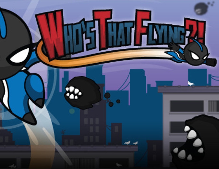 Who's That Flying?! preview image