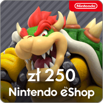 Карта оплаты Nintendo eShop 250 zl  Польша preview image