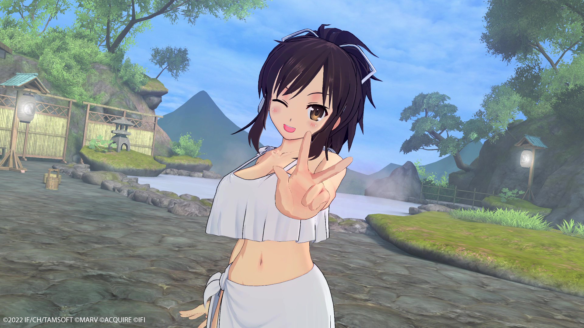 Neptunia x SENRAN KAGURA: Ninja Wars