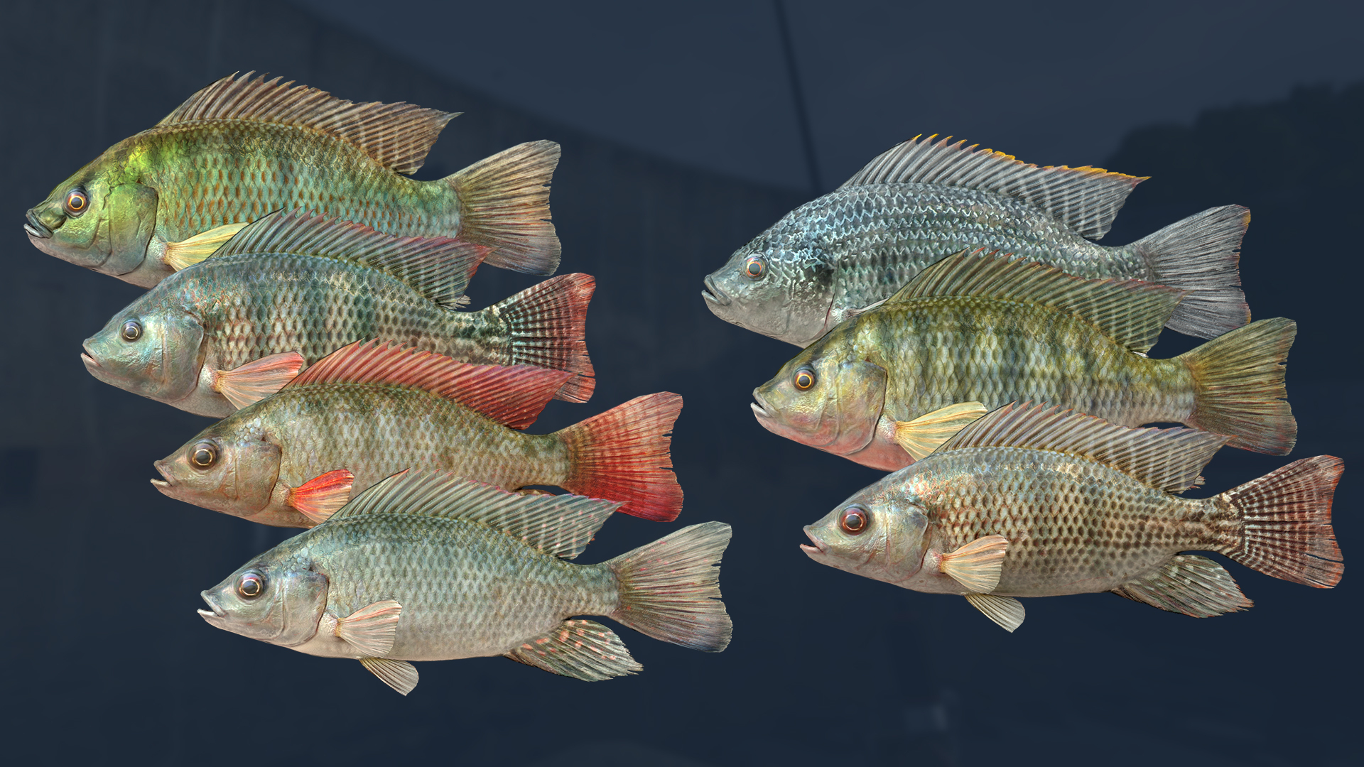 Ultimate Fishing Simulator - Kariba Dam
