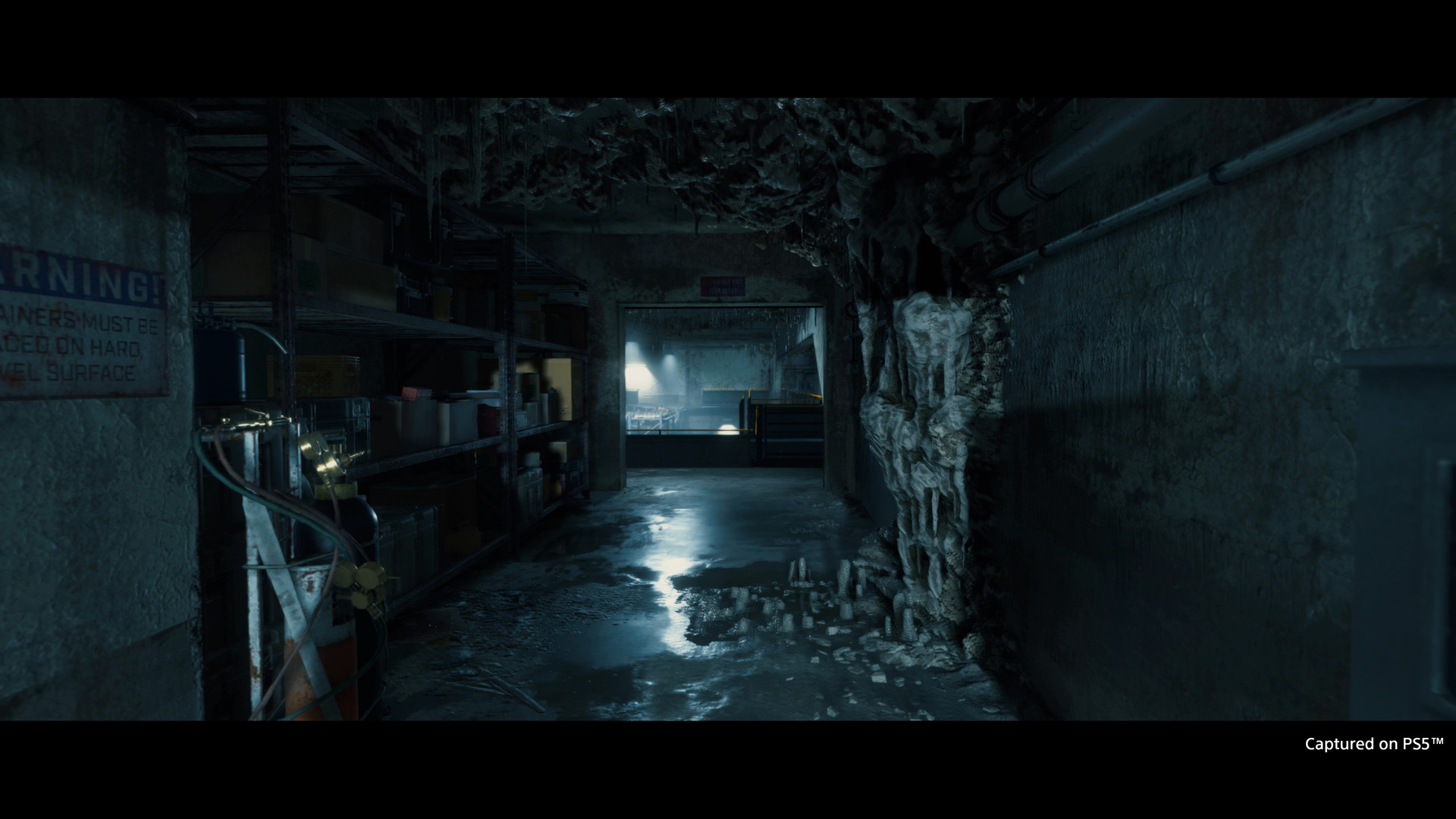Death Stranding Director's cut
