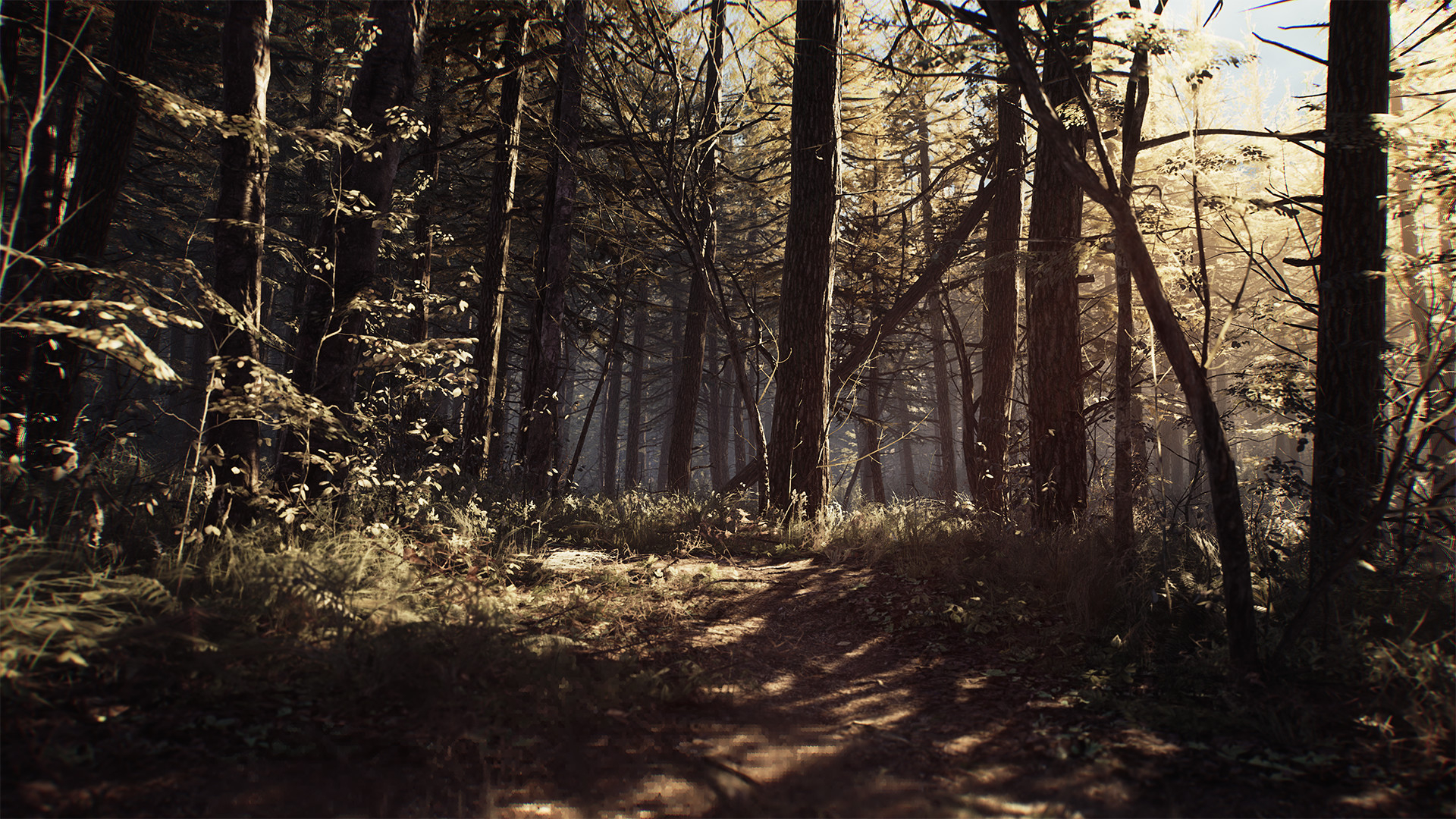 Blair Witch (Версия для СНГ. Кроме РФ и РБ)