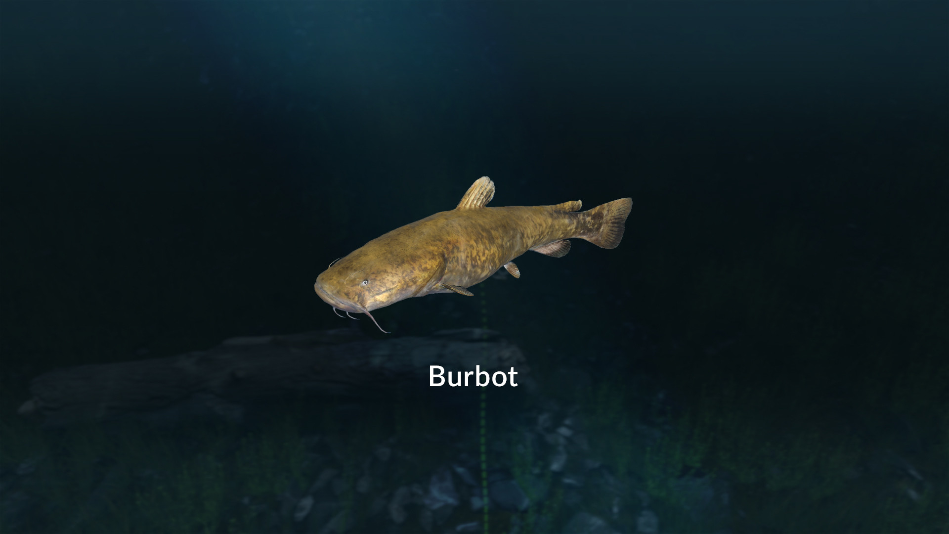 Ultimate Fishing Simulator - New Fish Species