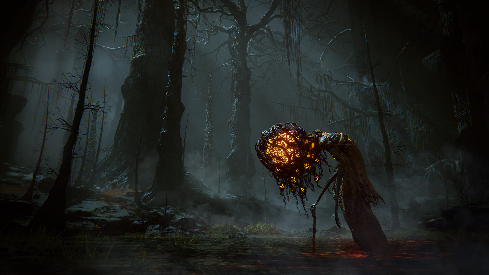 Elden Ring Shadow of the Erdtree Deluxe Edition