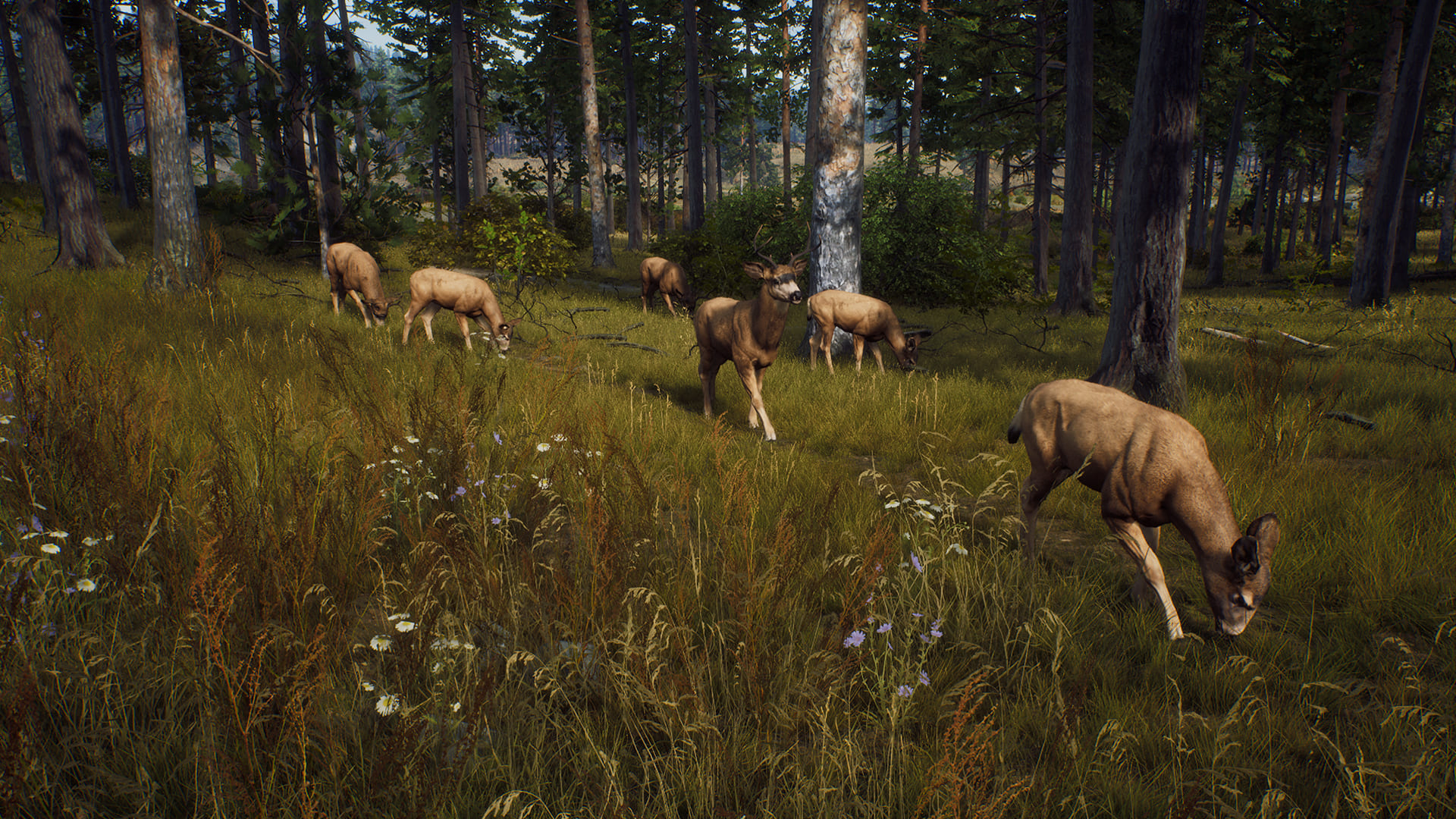 Way of the Hunter Elite Edition