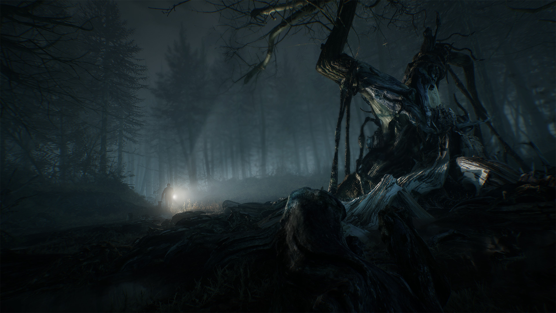 Blair Witch (Версия для СНГ. Кроме РФ и РБ)