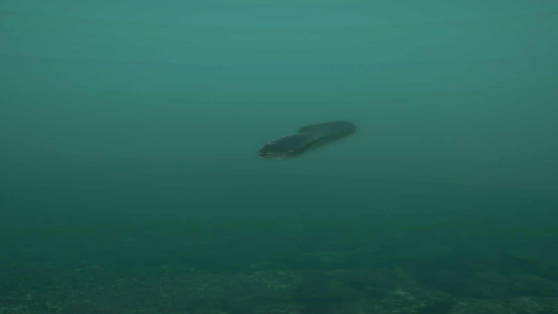 Ultimate Fishing Simulator 2