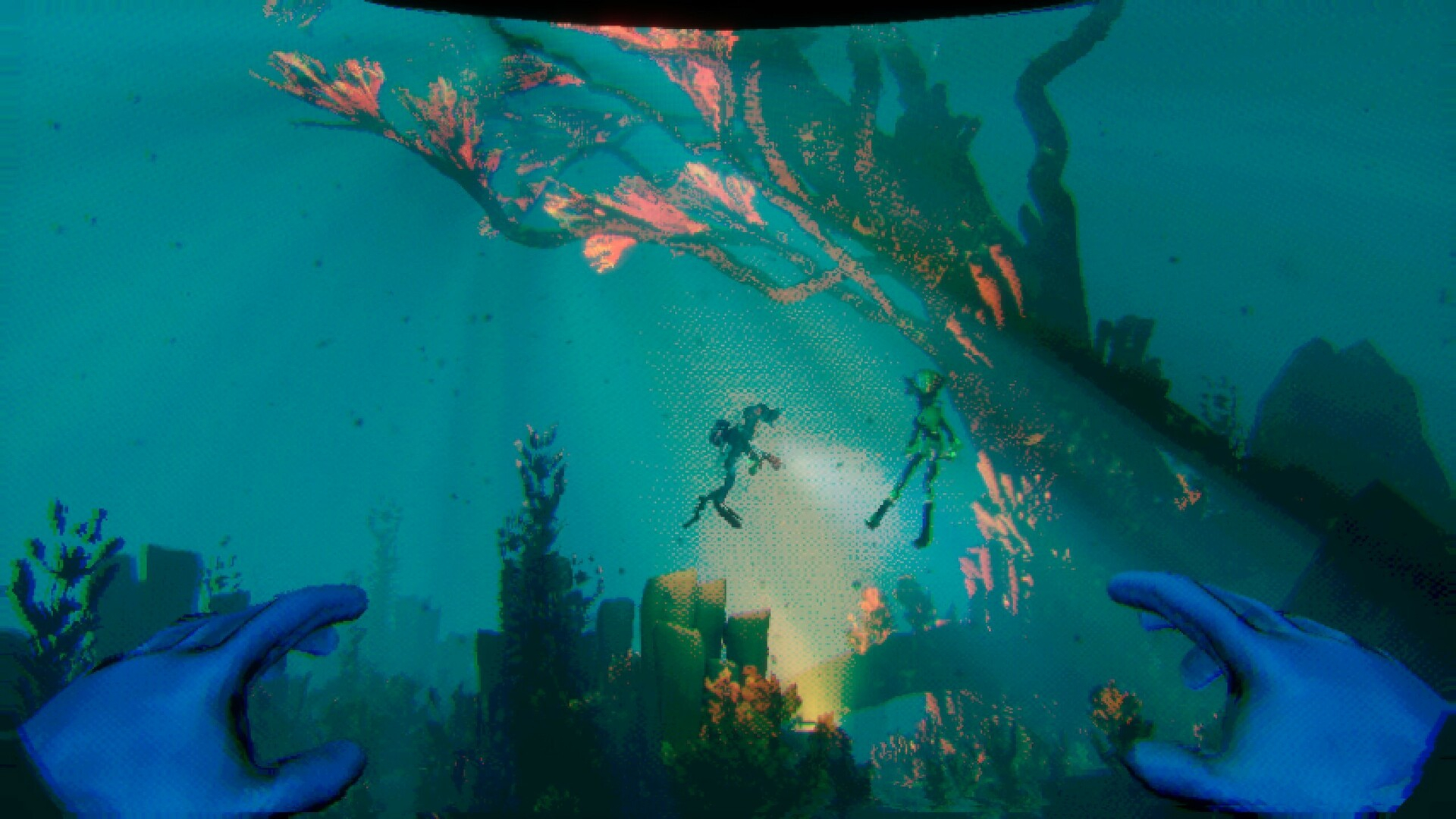 Murky Divers