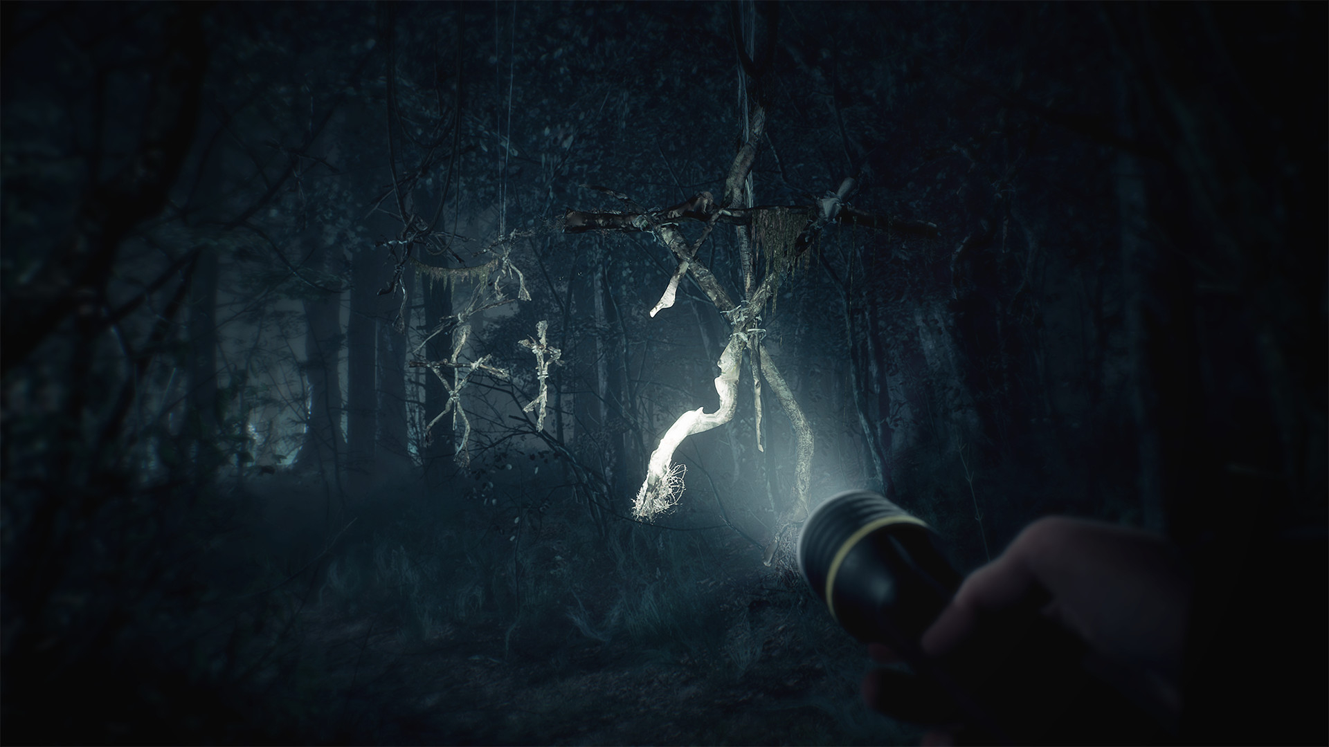 Blair Witch (Версия для СНГ. Кроме РФ и РБ)