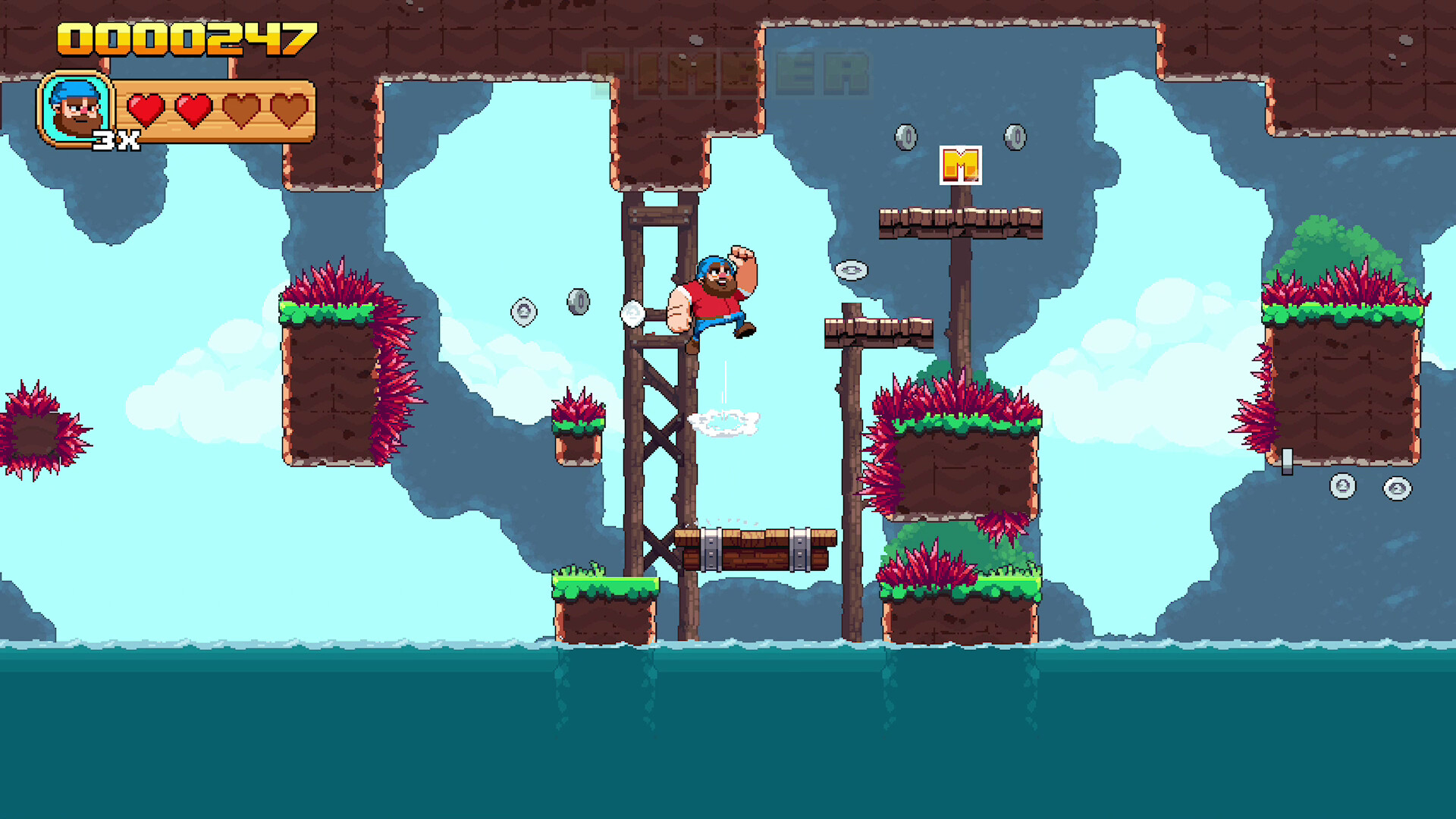 Timberman: The big Adventure
