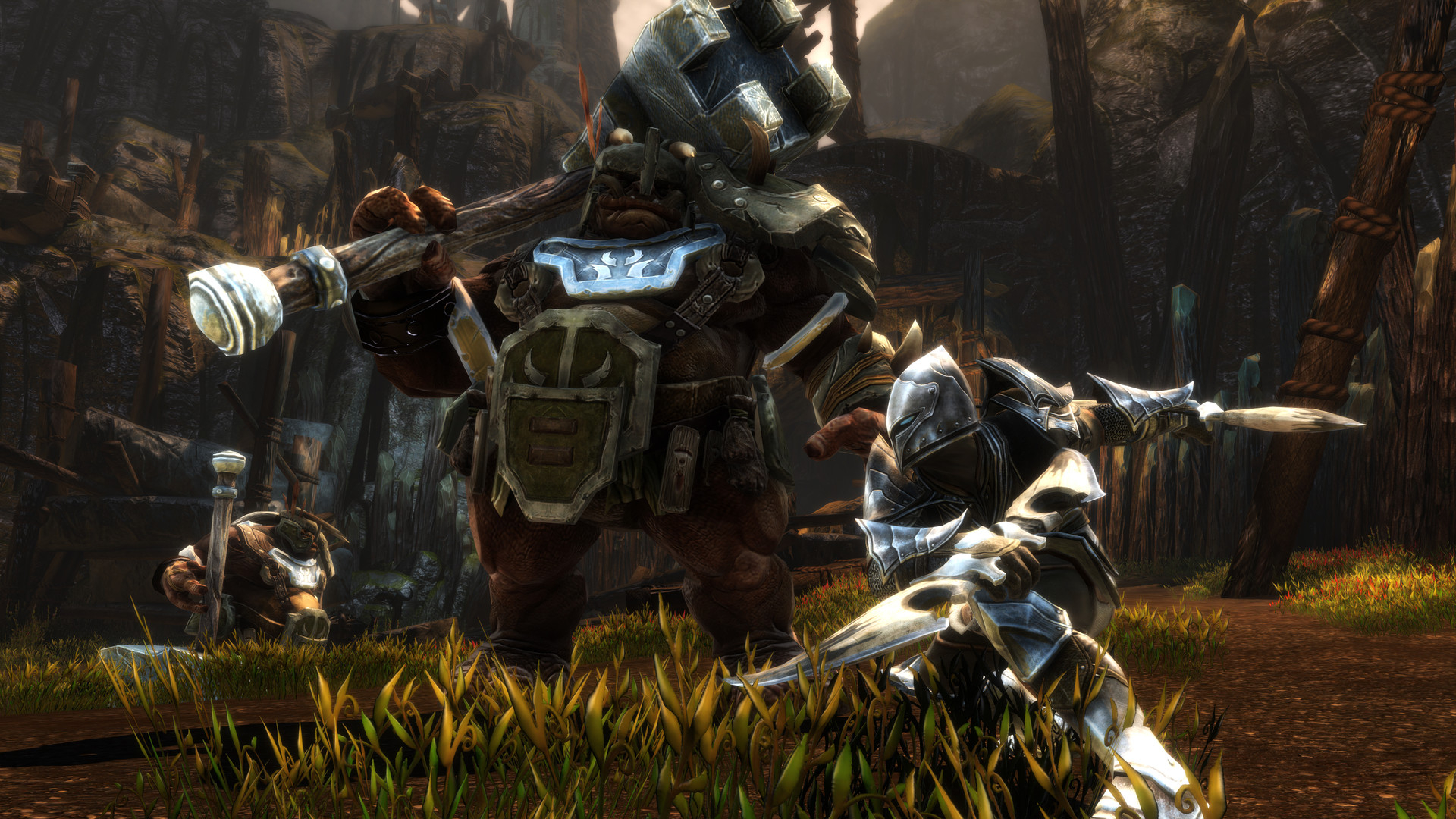 Kingdoms of Amalur: Re-Reckoning - Fatesworn