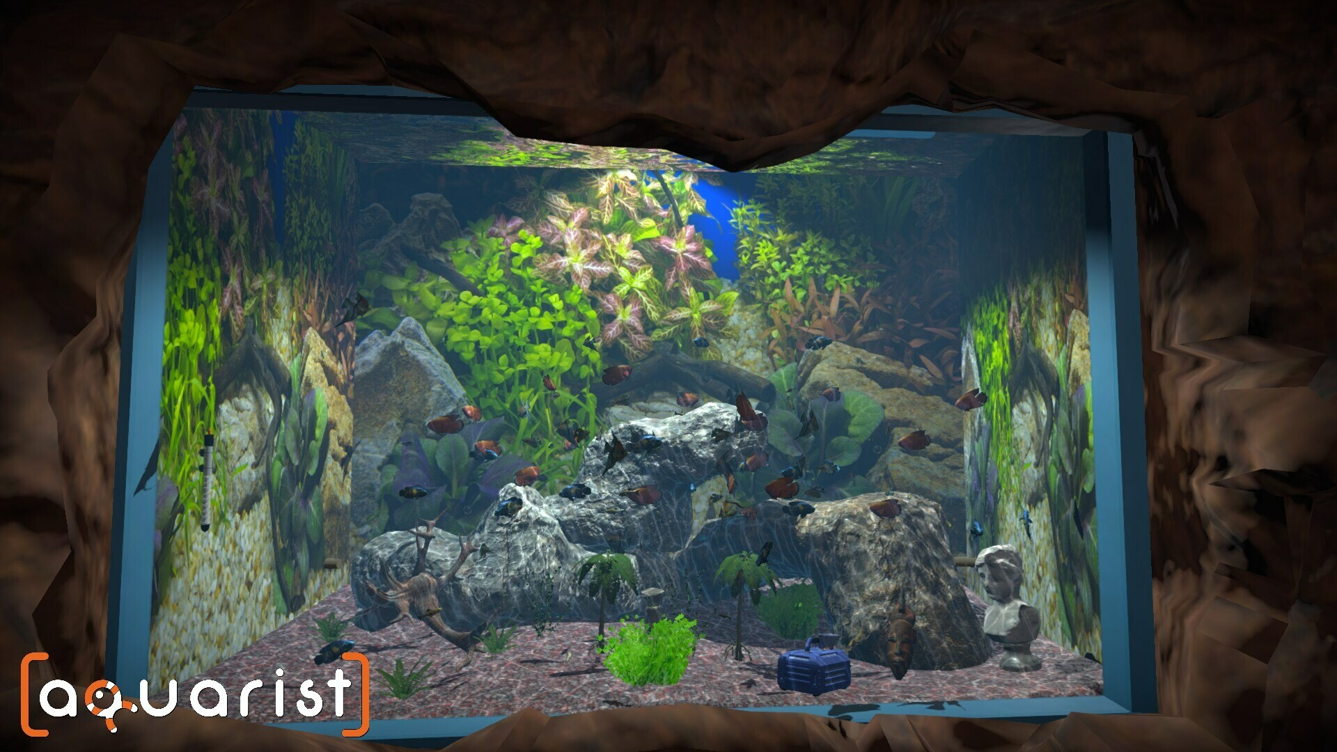 Aquarist