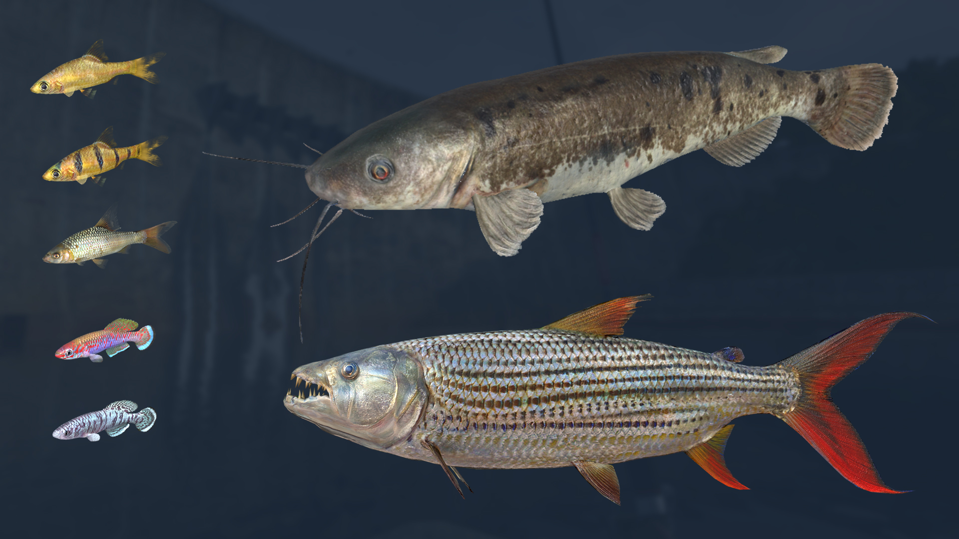 Ultimate Fishing Simulator - Kariba Dam