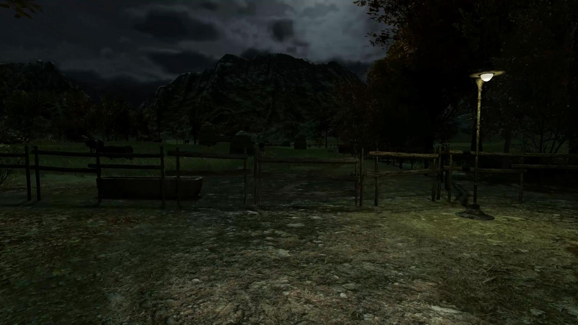 The Cows Are Watching