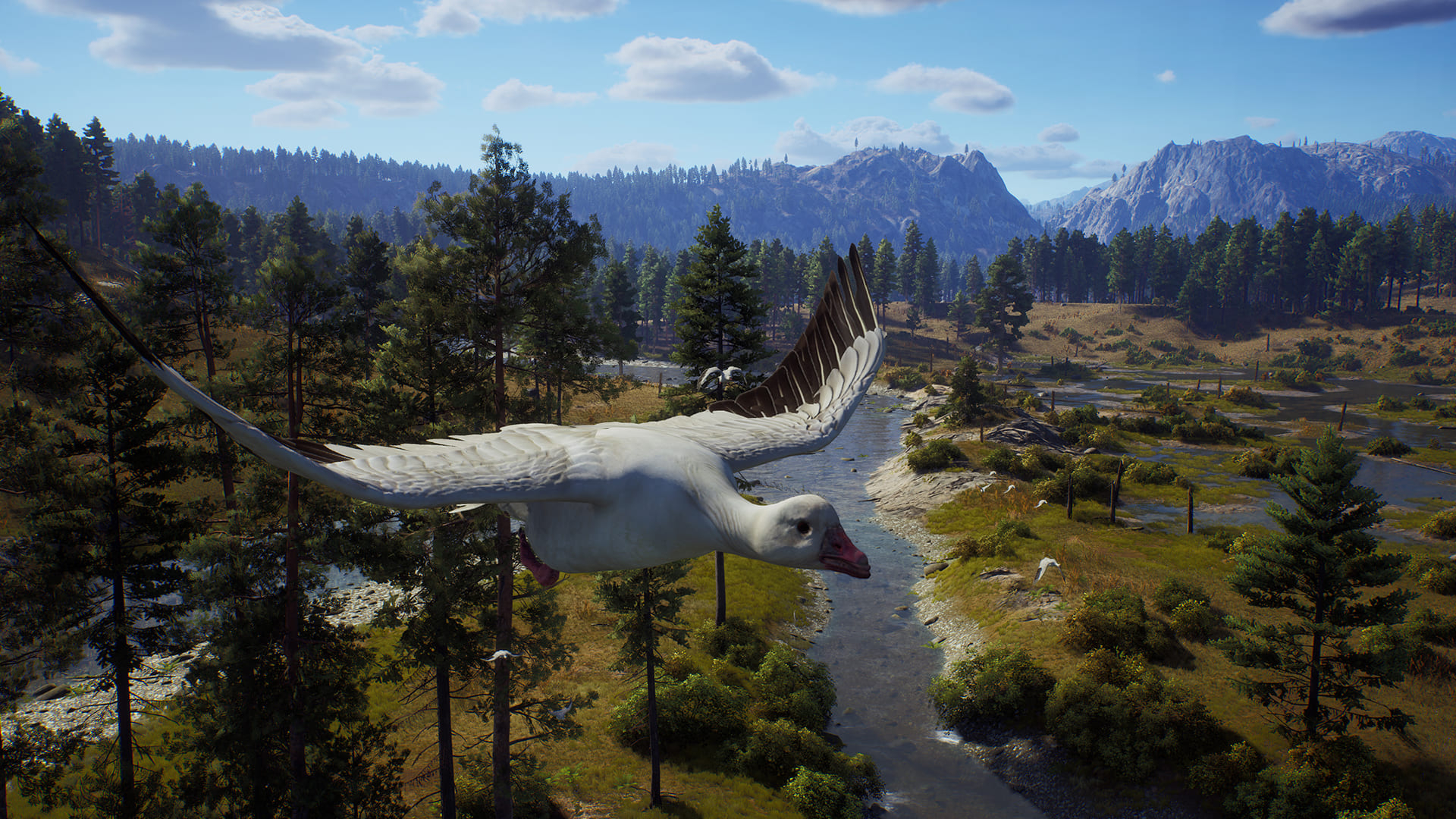 Way of the Hunter Elite Edition
