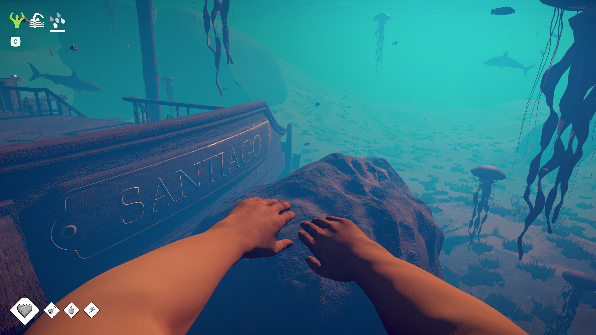 Survival: Fountain of Youth - Sea Wolf Pack