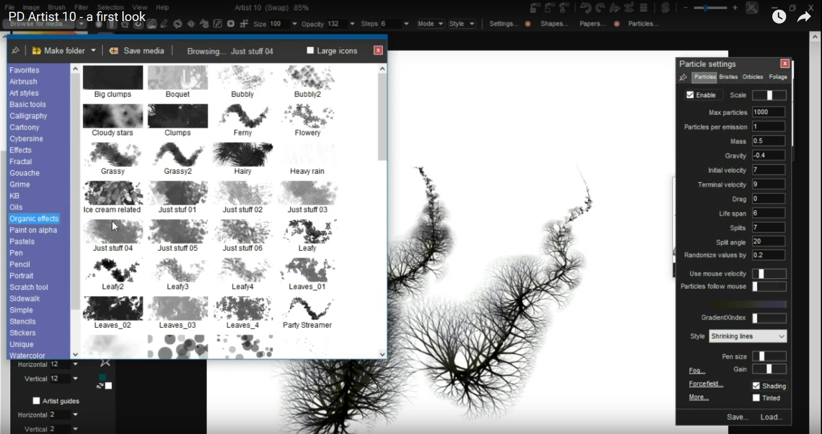 PD Artist 10