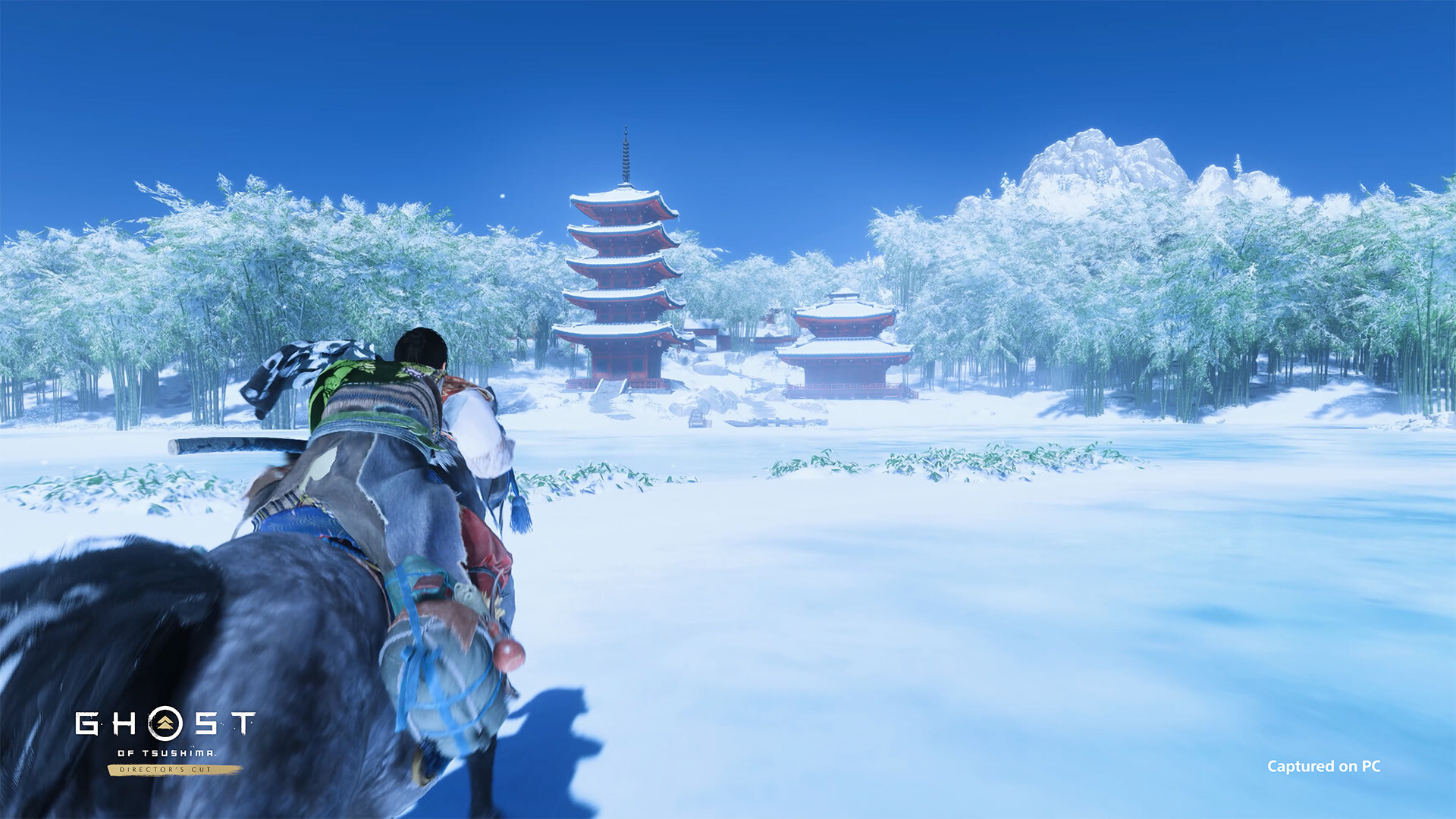 Ghost of Tsushima Director's Cut (Версия для РФ)