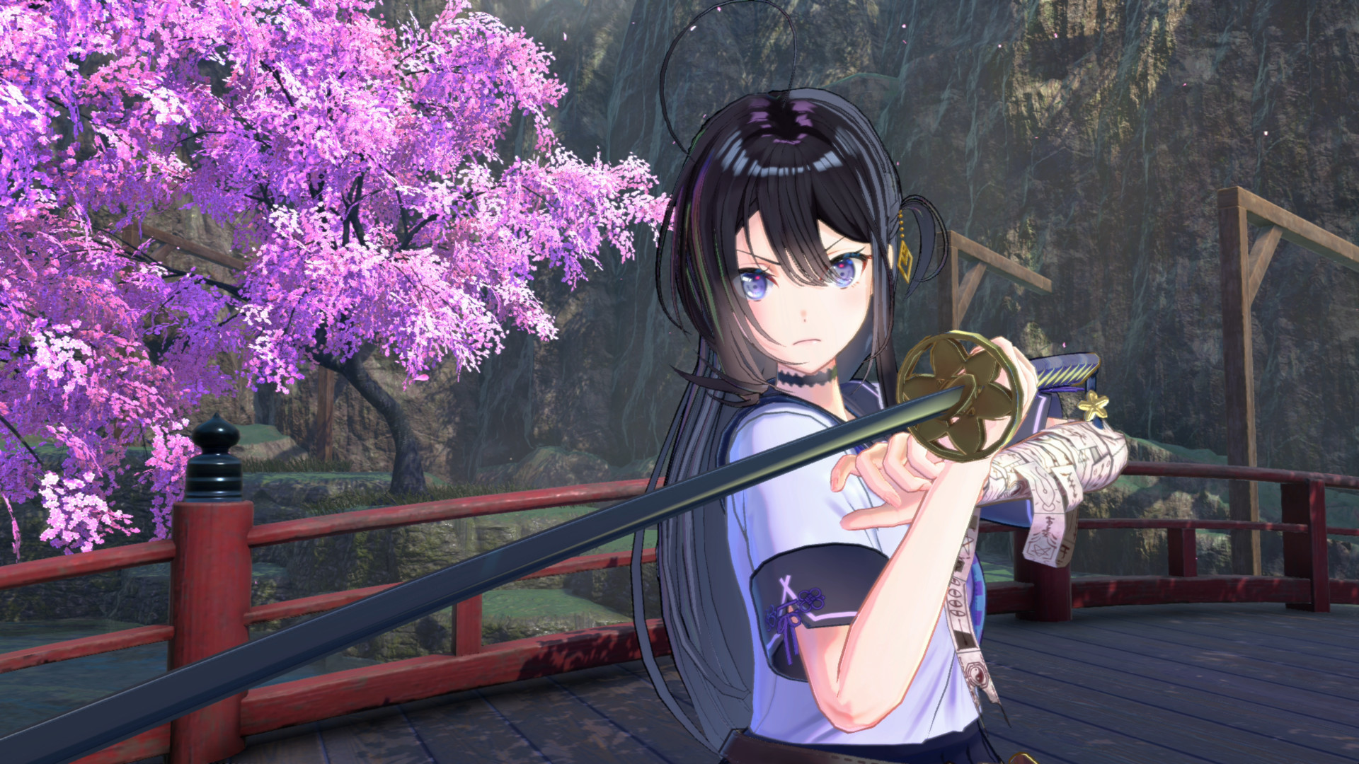 Samurai Maiden Deluxe Edition