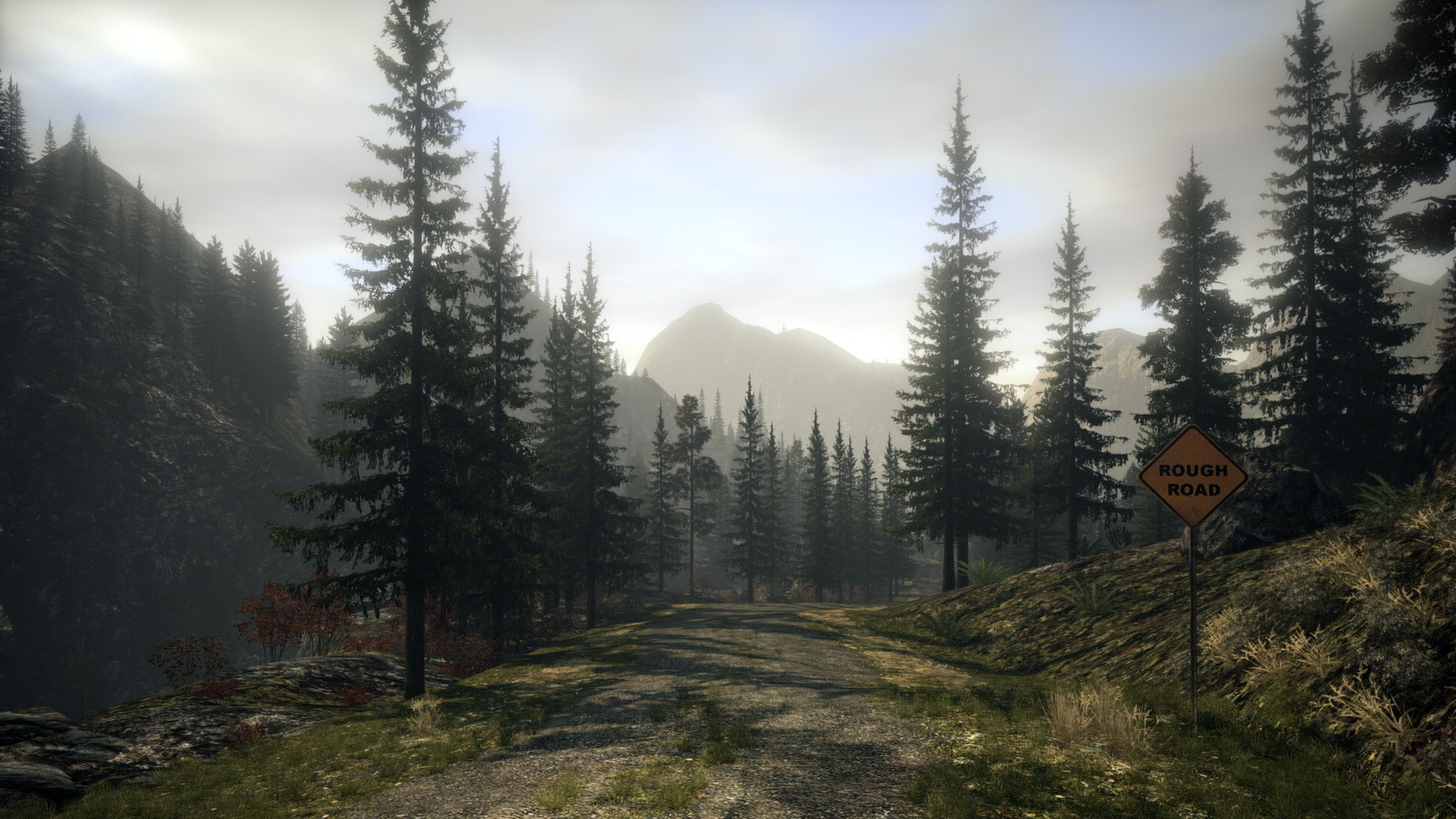 Alan Wake Collectors Edition