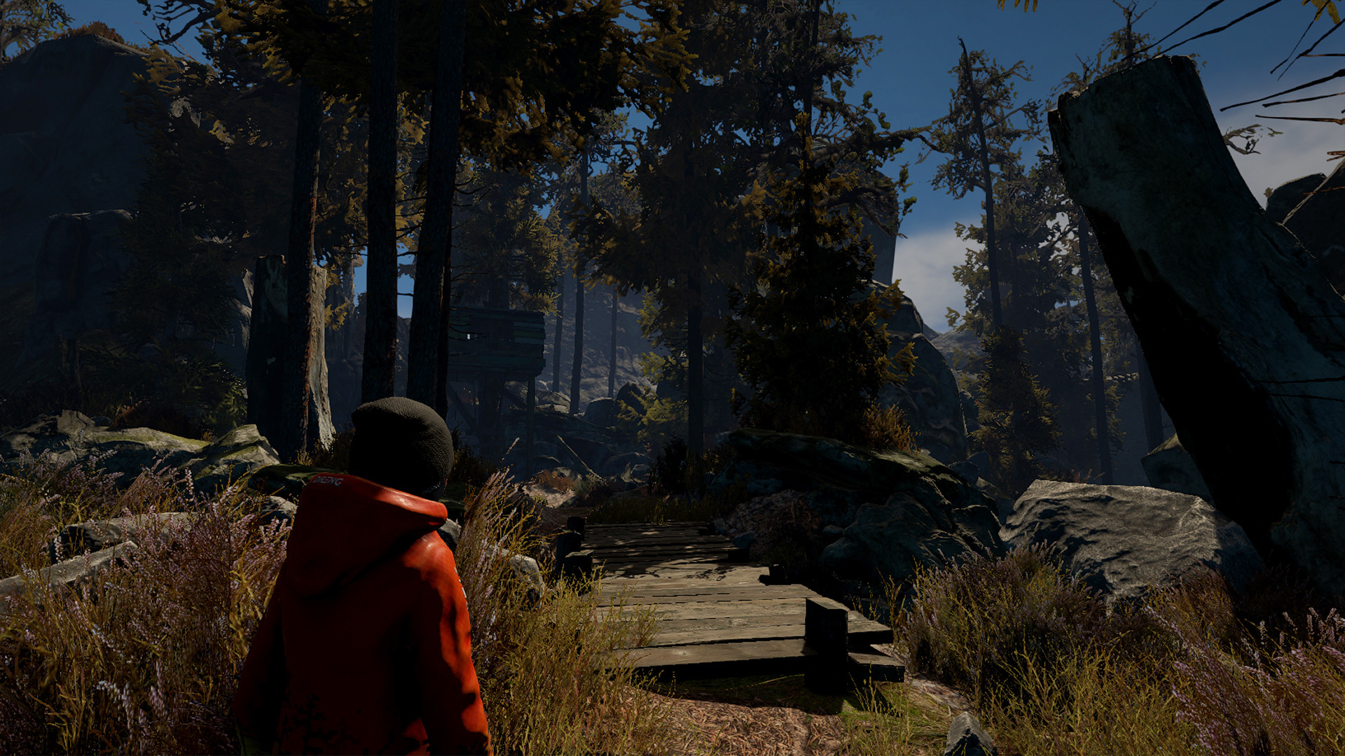 Through the Woods - Soundtrack