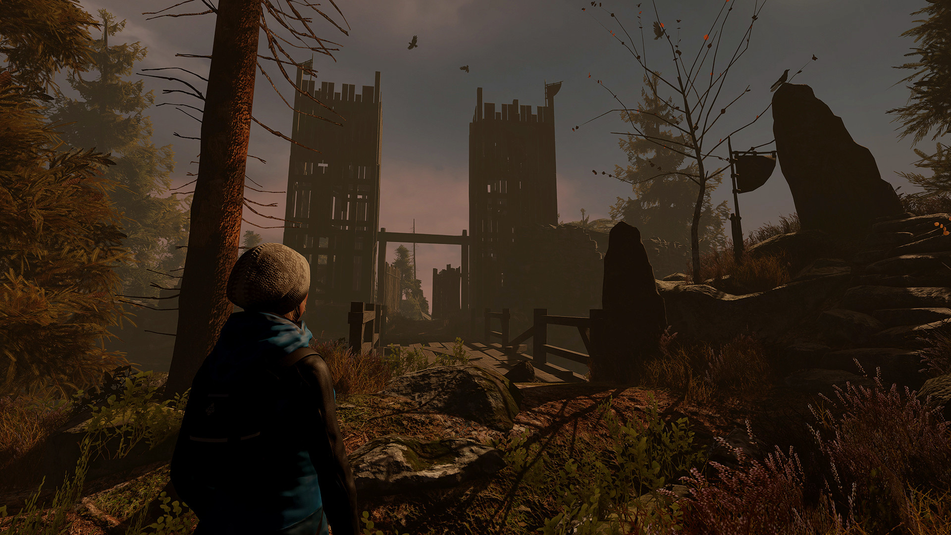 Through the Woods: Collector's Edition