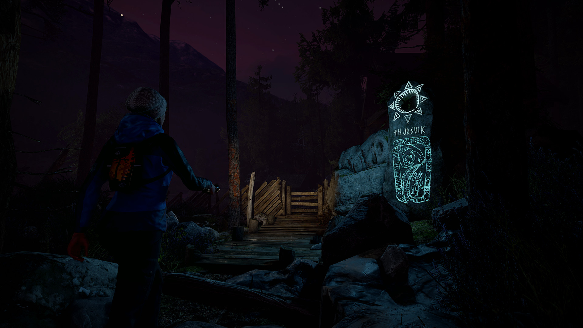 Through the Woods: Collector's Edition