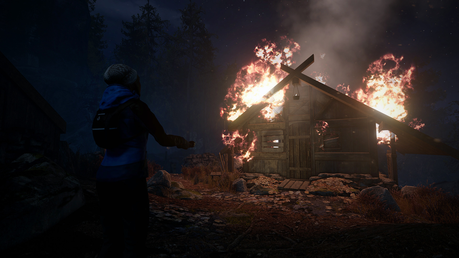 Through the Woods: Collector's Edition