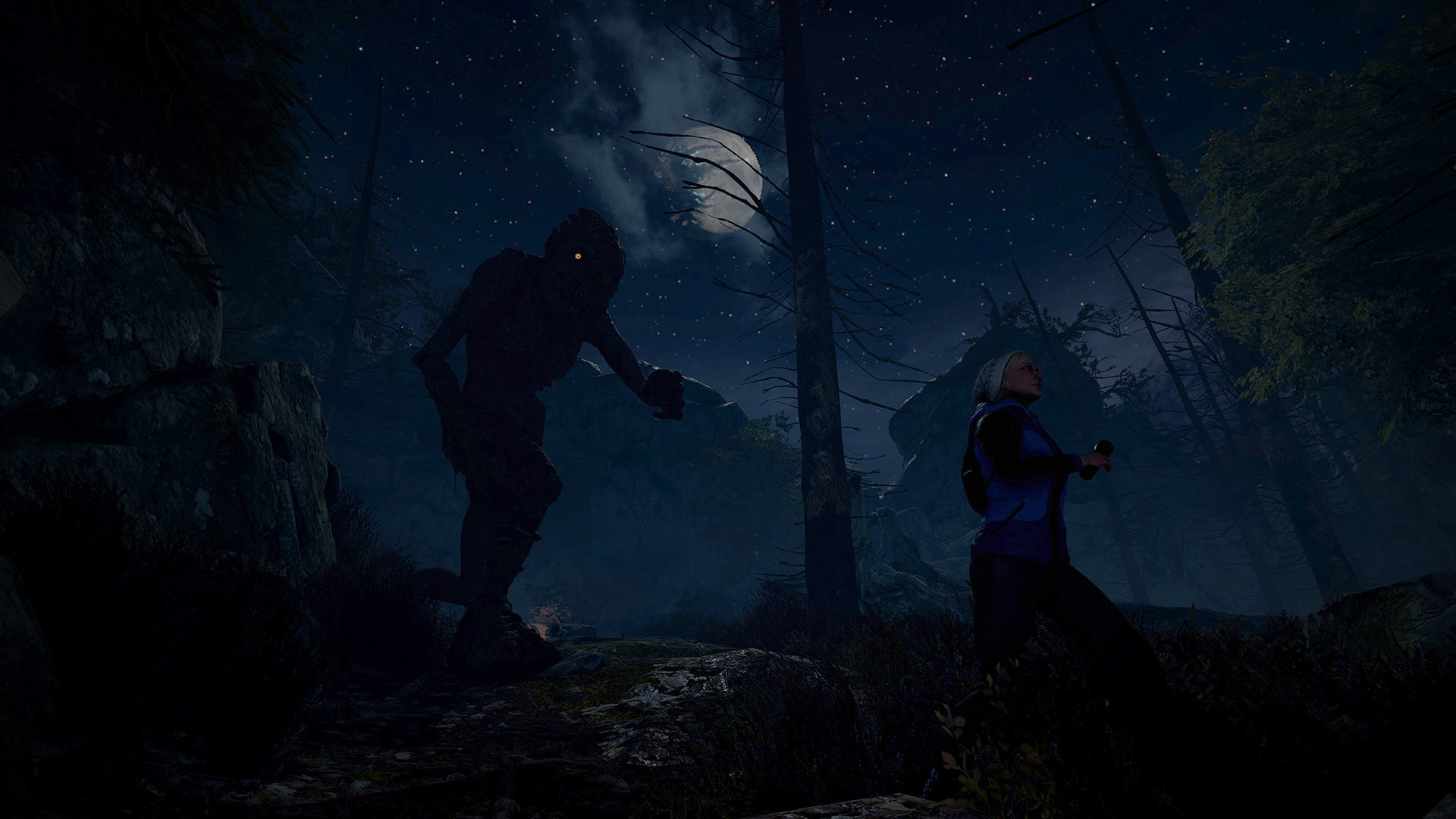 Through the Woods: Collector's Edition