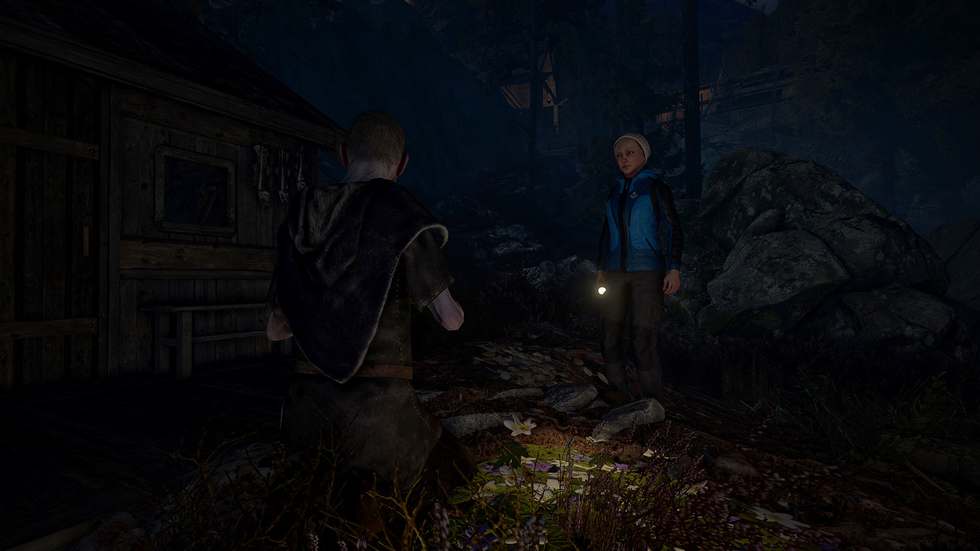 Through the Woods: Collector's Edition