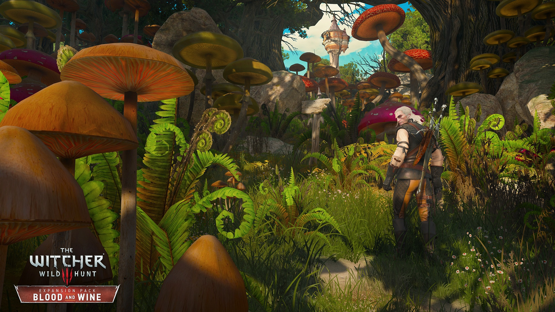 The Witcher 3: Wild Hunt - Game of the Year Edition